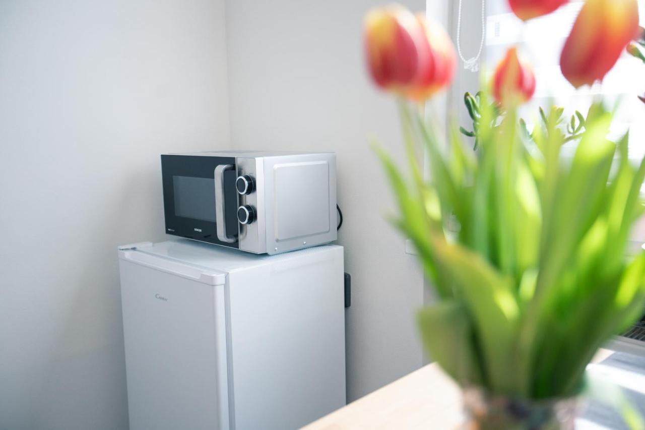 Ubytovani Na Samote - Apartman U Tesaru Komarice Dış mekan fotoğraf