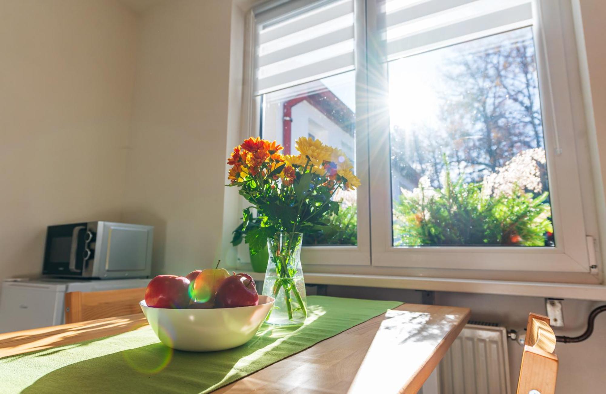 Ubytovani Na Samote - Apartman U Tesaru Komarice Dış mekan fotoğraf