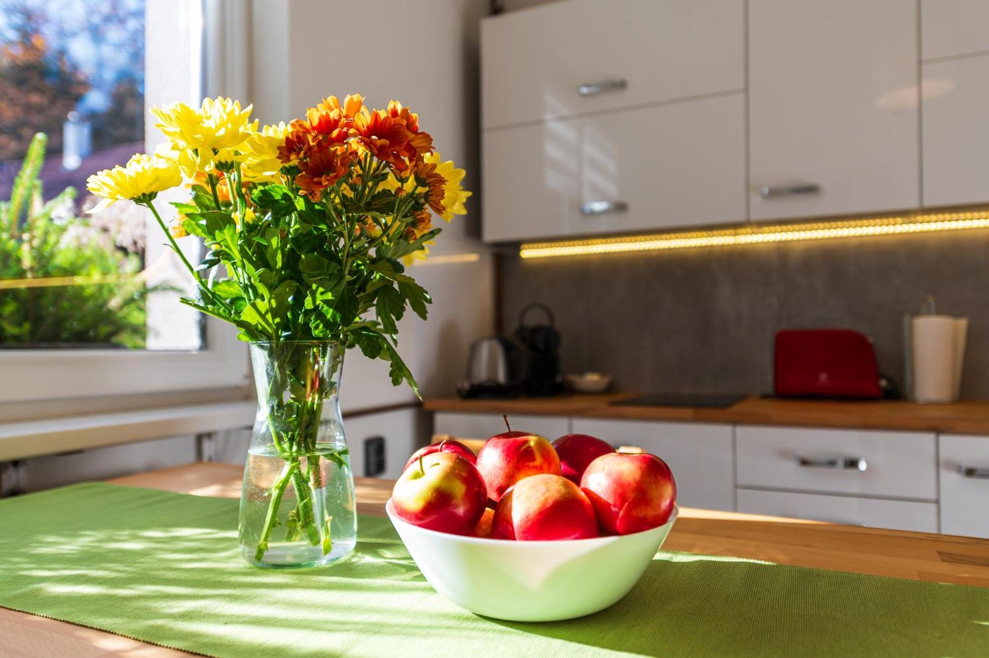 Ubytovani Na Samote - Apartman U Tesaru Komarice Dış mekan fotoğraf